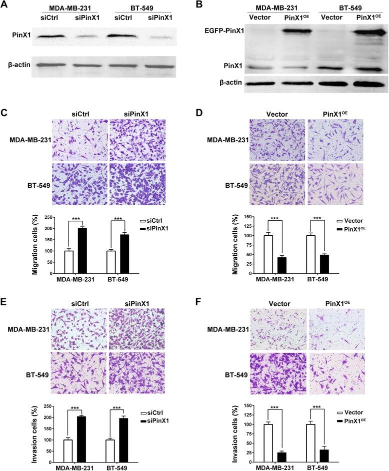 https://cdn.ncbi.nlm.nih.gov/pmc/blobs/1e8c/4404090/e7139721418f/12943_2015_332_Fig2_HTML.jpg