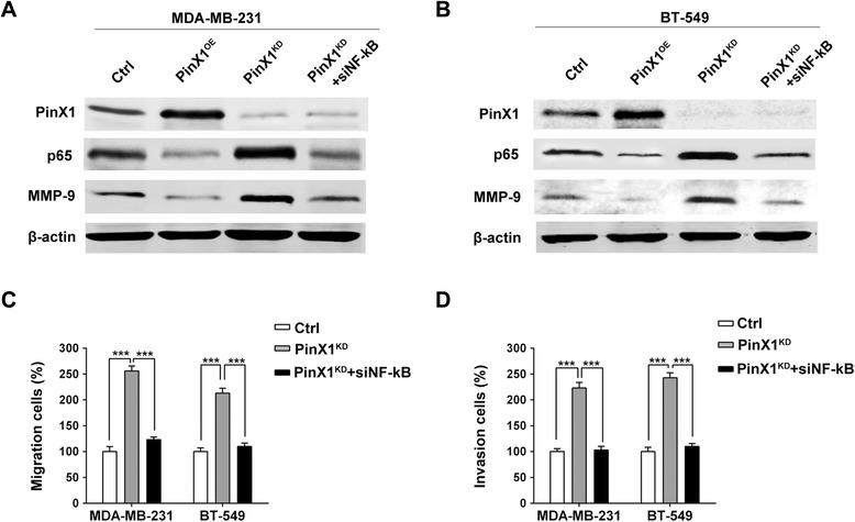 https://cdn.ncbi.nlm.nih.gov/pmc/blobs/1e8c/4404090/e9b68b73c358/12943_2015_332_Fig4_HTML.jpg