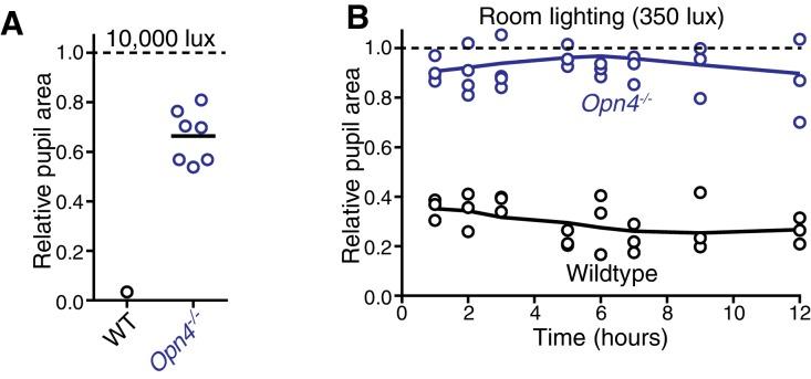 https://cdn.ncbi.nlm.nih.gov/pmc/blobs/1e8c/5079752/4f6d15f5950e/elife-15392-fig4-figsupp1.jpg