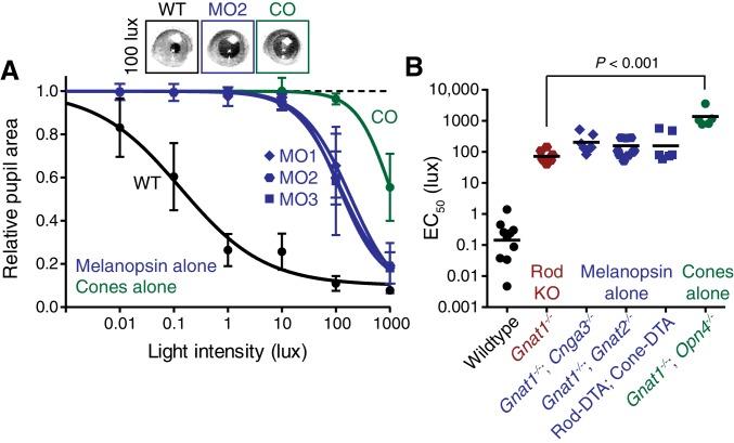 https://cdn.ncbi.nlm.nih.gov/pmc/blobs/1e8c/5079752/6a4936f23048/elife-15392-fig2-figsupp5.jpg