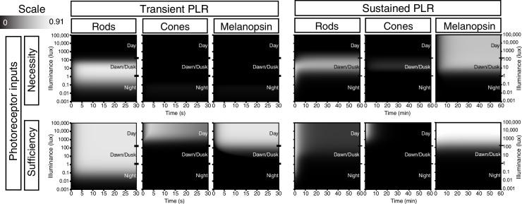 https://cdn.ncbi.nlm.nih.gov/pmc/blobs/1e8c/5079752/cf4de9904399/elife-15392-fig6-figsupp1.jpg