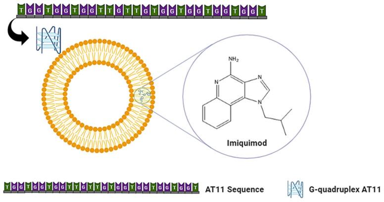 https://cdn.ncbi.nlm.nih.gov/pmc/blobs/1e8e/11279553/4cc8dcfc70c8/pharmaceutics-16-00864-g001.jpg