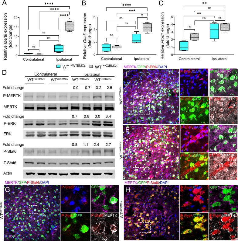 https://cdn.ncbi.nlm.nih.gov/pmc/blobs/1e91/10633953/8fb495808cf9/12974_2023_2940_Fig5_HTML.jpg