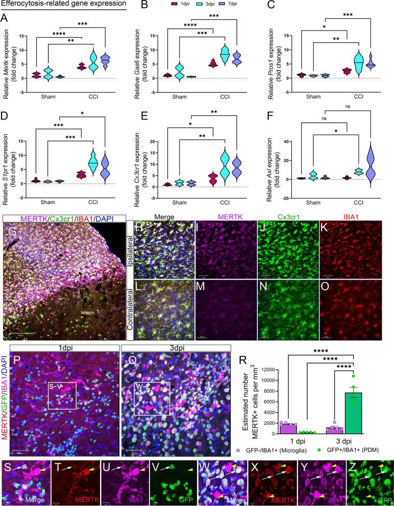 https://cdn.ncbi.nlm.nih.gov/pmc/blobs/1e91/10633953/c07888c3f26a/12974_2023_2940_Fig2_HTML.jpg