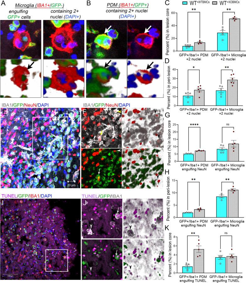 https://cdn.ncbi.nlm.nih.gov/pmc/blobs/1e91/10633953/c7a3a1bf4b34/12974_2023_2940_Fig4_HTML.jpg