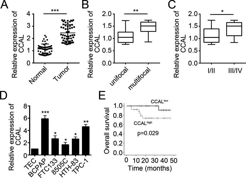https://cdn.ncbi.nlm.nih.gov/pmc/blobs/1e93/7844649/e7ff18017a11/OR-26-1383-g001.jpg