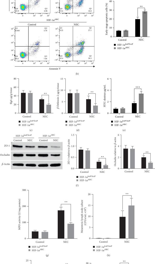 https://cdn.ncbi.nlm.nih.gov/pmc/blobs/1e97/11668547/fbcc589e5cfa/MI2024-4811500.004.jpg