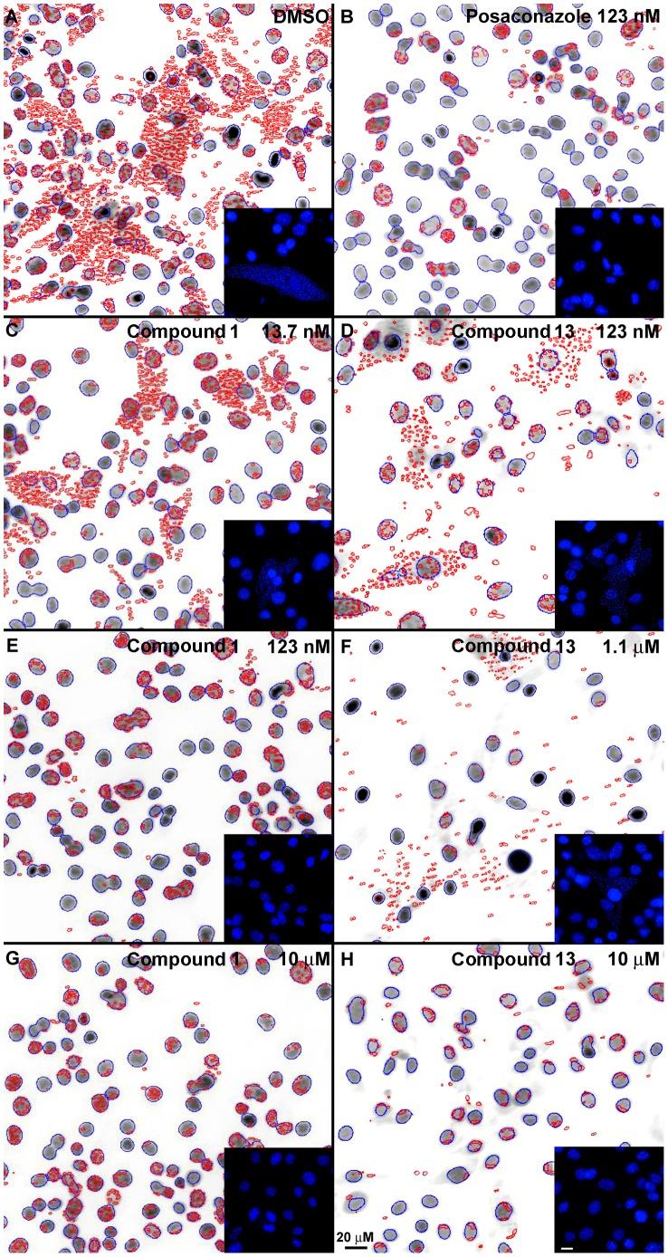 https://cdn.ncbi.nlm.nih.gov/pmc/blobs/1e97/3409115/2065e6efca26/pntd.0001736.g003.jpg
