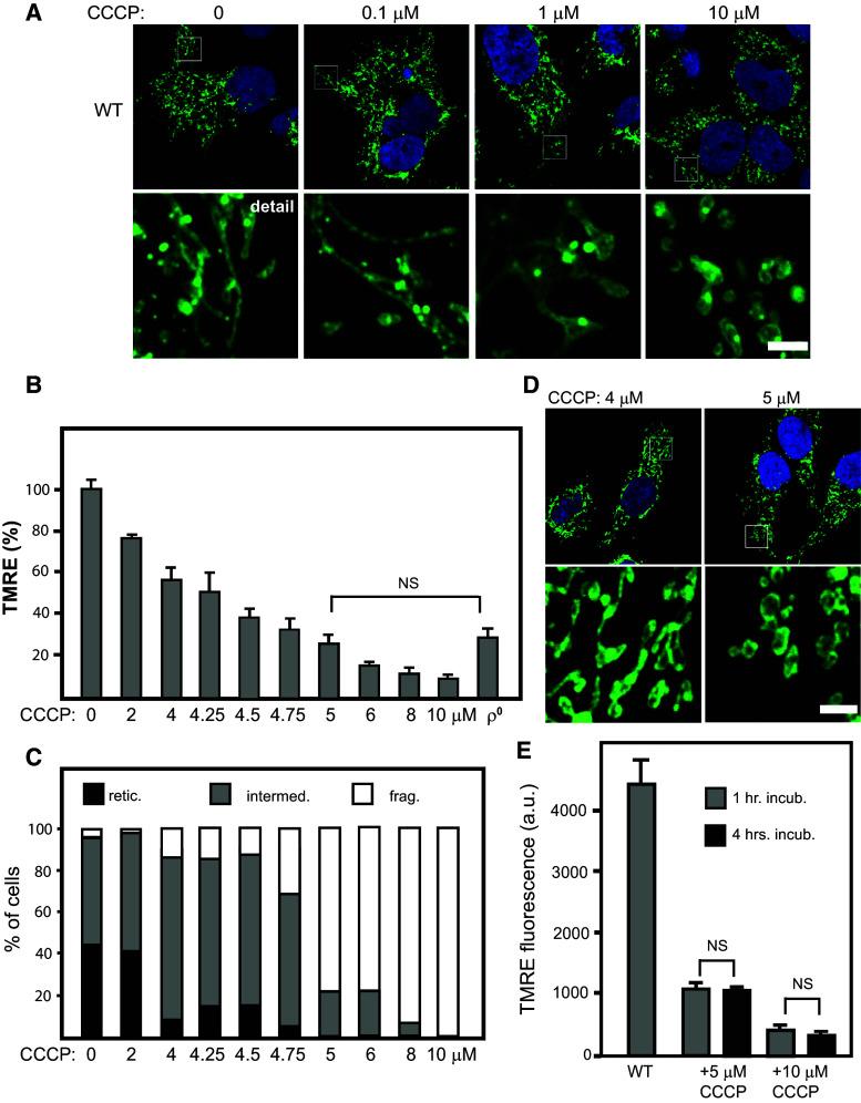 https://cdn.ncbi.nlm.nih.gov/pmc/blobs/1e98/11107604/c107b556b85c/18_2016_2421_Fig2_HTML.jpg
