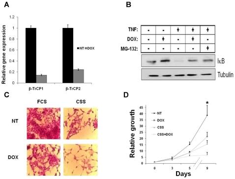 https://cdn.ncbi.nlm.nih.gov/pmc/blobs/1e9b/2816705/2786a945ed24/pone.0009060.g002.jpg