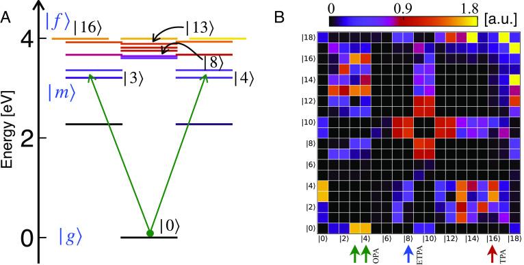 https://cdn.ncbi.nlm.nih.gov/pmc/blobs/1e9e/10466183/0ed50a8977c7/pnas.2307719120fig04.jpg