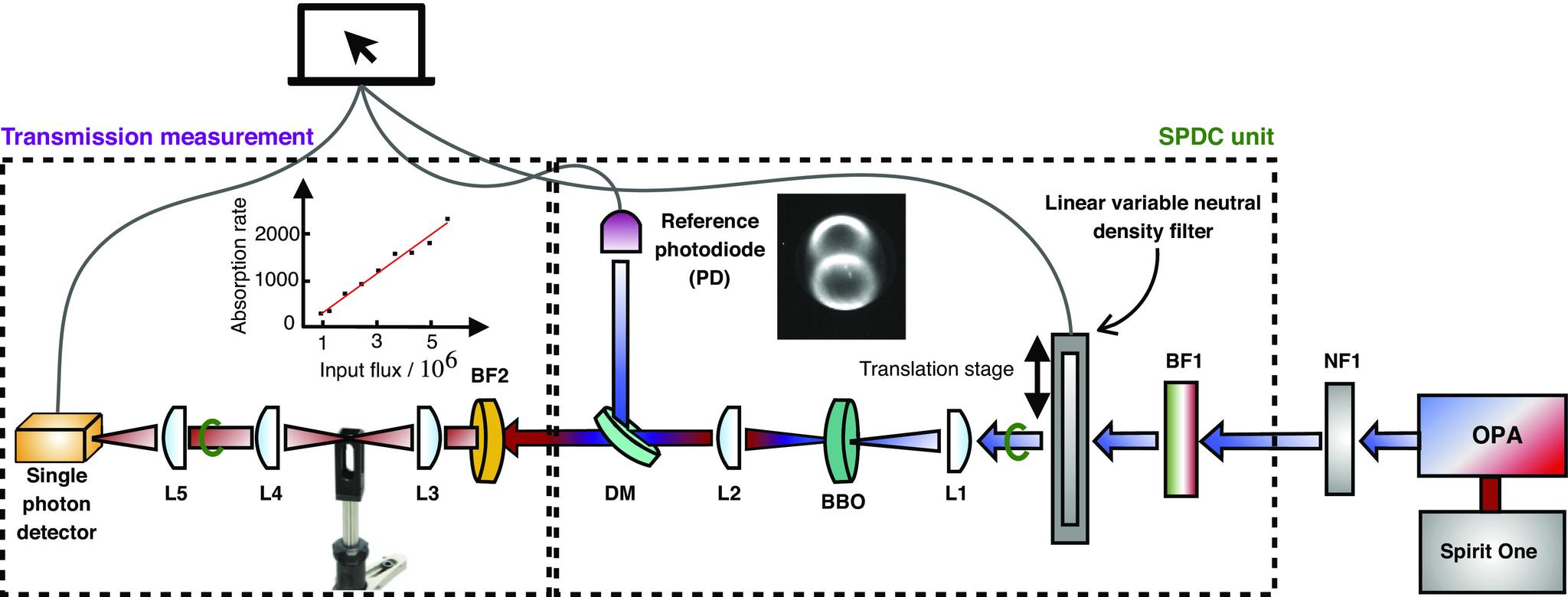 https://cdn.ncbi.nlm.nih.gov/pmc/blobs/1e9e/10466183/553809f2420d/pnas.2307719120fig06.jpg