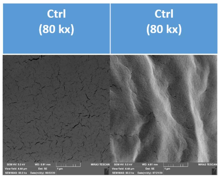 https://cdn.ncbi.nlm.nih.gov/pmc/blobs/1e9e/8348254/ef57934d161d/polymers-13-02578-g008.jpg