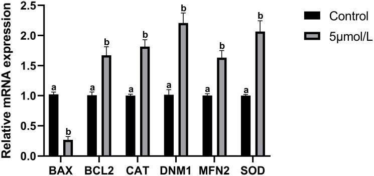 https://cdn.ncbi.nlm.nih.gov/pmc/blobs/1e9f/11503749/c403789d6b61/animals-14-02929-g006.jpg