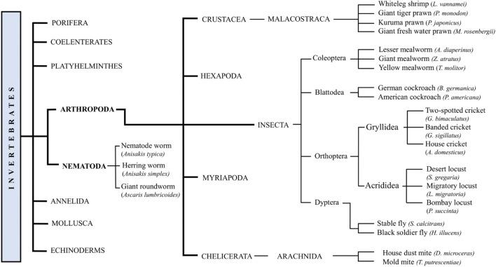 https://cdn.ncbi.nlm.nih.gov/pmc/blobs/1e9f/8165055/6ef7529d88cb/11882_2021_1012_Fig1_HTML.jpg