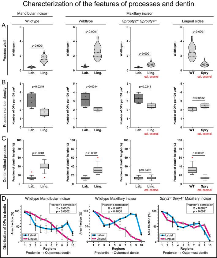https://cdn.ncbi.nlm.nih.gov/pmc/blobs/1ea0/9300090/57562c6a8d16/JBMR-37-323-g007.jpg