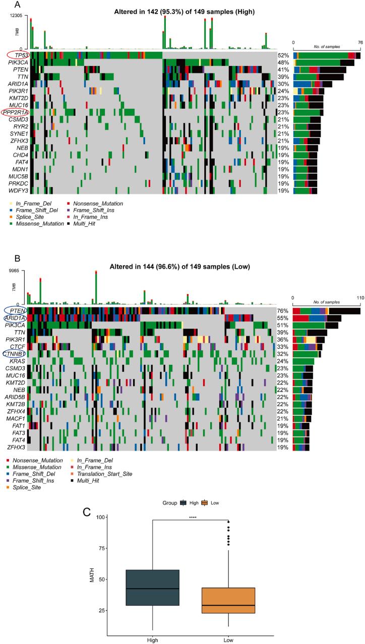 https://cdn.ncbi.nlm.nih.gov/pmc/blobs/1ea2/11336703/237f6b8fddd1/gr5.jpg