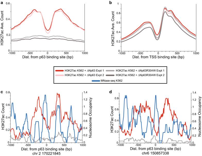 https://cdn.ncbi.nlm.nih.gov/pmc/blobs/1ea2/8053304/01d5436b5585/13072_2021_394_Fig5_HTML.jpg