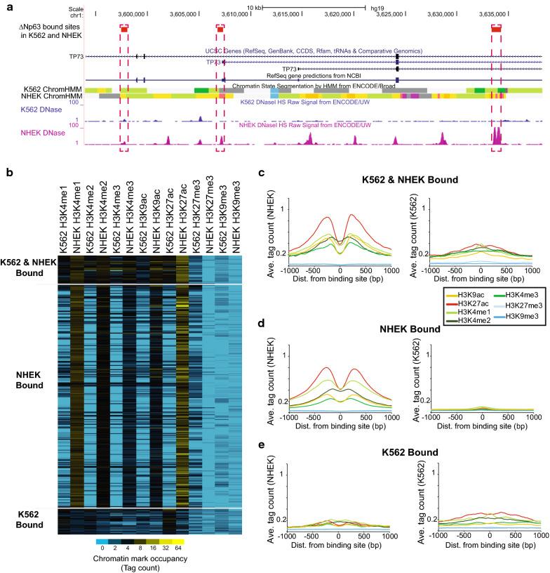 https://cdn.ncbi.nlm.nih.gov/pmc/blobs/1ea2/8053304/d213cdb8a84c/13072_2021_394_Fig3_HTML.jpg