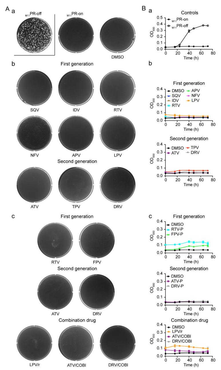 https://cdn.ncbi.nlm.nih.gov/pmc/blobs/1ea2/8308830/b6668d31d2cc/pathogens-10-00804-g006.jpg