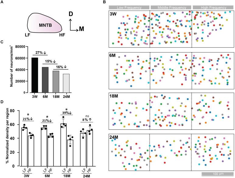https://cdn.ncbi.nlm.nih.gov/pmc/blobs/1ea2/9799098/555c25e31adb/fncel-16-1070438-g0002.jpg