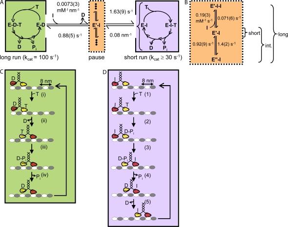 https://cdn.ncbi.nlm.nih.gov/pmc/blobs/1ea5/2151671/69638716a0d4/jgp1300445f05.jpg
