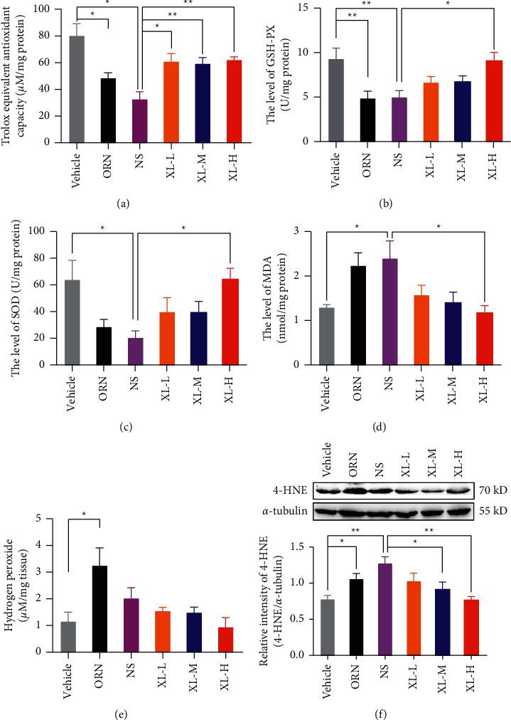 https://cdn.ncbi.nlm.nih.gov/pmc/blobs/1ea8/9233599/97c58c1c880e/ECAM2022-1269530.005.jpg