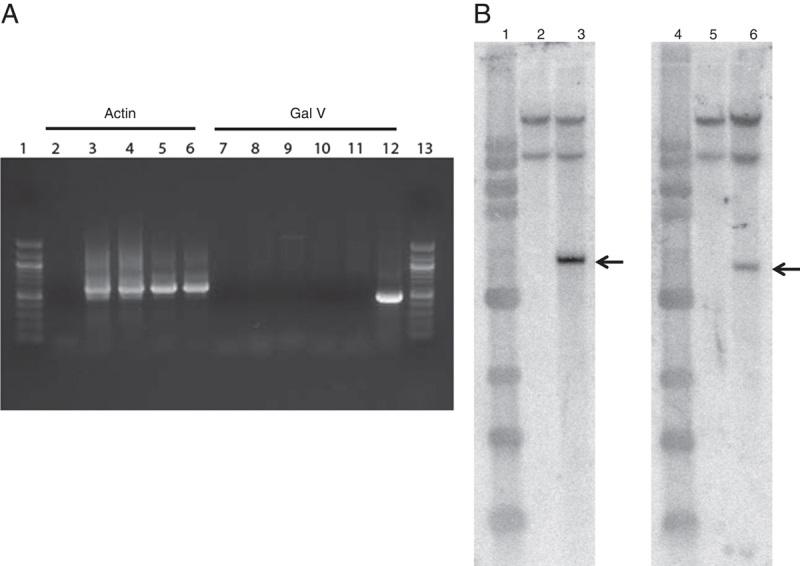 https://cdn.ncbi.nlm.nih.gov/pmc/blobs/1ea9/4353472/f24e655a31d5/cji-38-127-g006.jpg