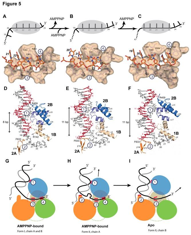 https://cdn.ncbi.nlm.nih.gov/pmc/blobs/1eaa/3797037/e7bcdec8592c/pone.0077364.g005.jpg