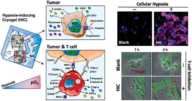 https://cdn.ncbi.nlm.nih.gov/pmc/blobs/1eab/10432785/37a8e3066a2b/ga1.jpg