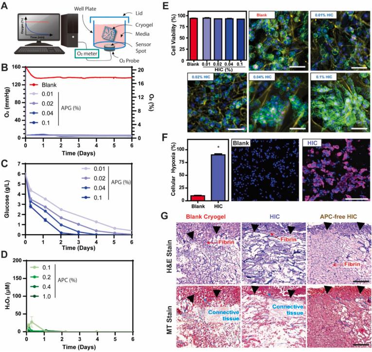https://cdn.ncbi.nlm.nih.gov/pmc/blobs/1eab/10432785/ca6b5e220393/gr3.jpg