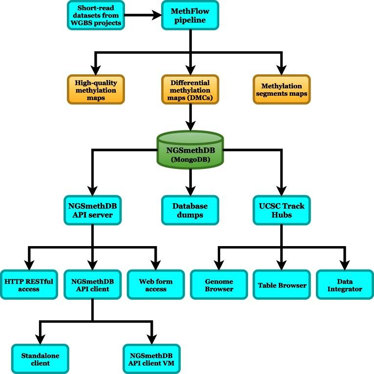 https://cdn.ncbi.nlm.nih.gov/pmc/blobs/1eac/5210667/fcedb6aeb367/gkw996fig1.jpg