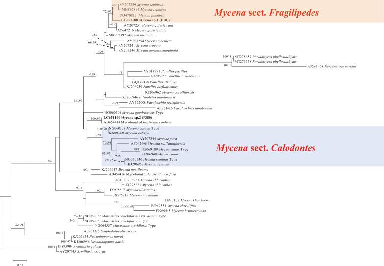 https://cdn.ncbi.nlm.nih.gov/pmc/blobs/1eae/10042302/12a80b6bdc20/MYC-63-088-g03.jpg