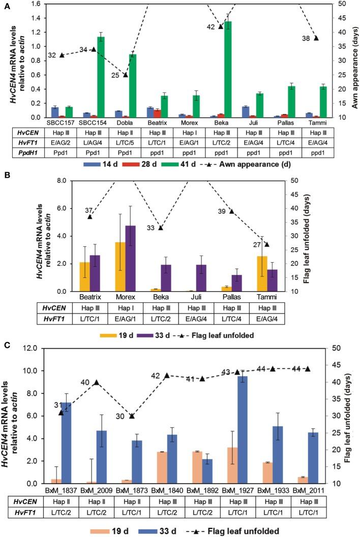 https://cdn.ncbi.nlm.nih.gov/pmc/blobs/1eaf/4047512/94e3be2b652d/fpls-05-00251-g0006.jpg
