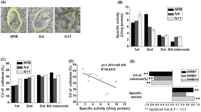 https://cdn.ncbi.nlm.nih.gov/pmc/blobs/1eb0/3537678/e2731b56412c/pone.0050171.g004.jpg