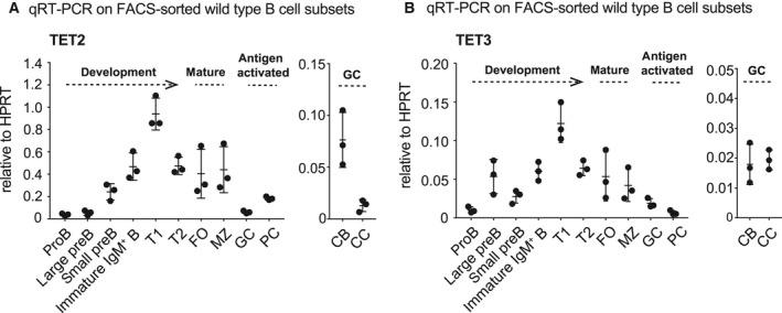 https://cdn.ncbi.nlm.nih.gov/pmc/blobs/1eb0/6851767/33f7ded2edc8/FEBS-286-3566-g001.jpg