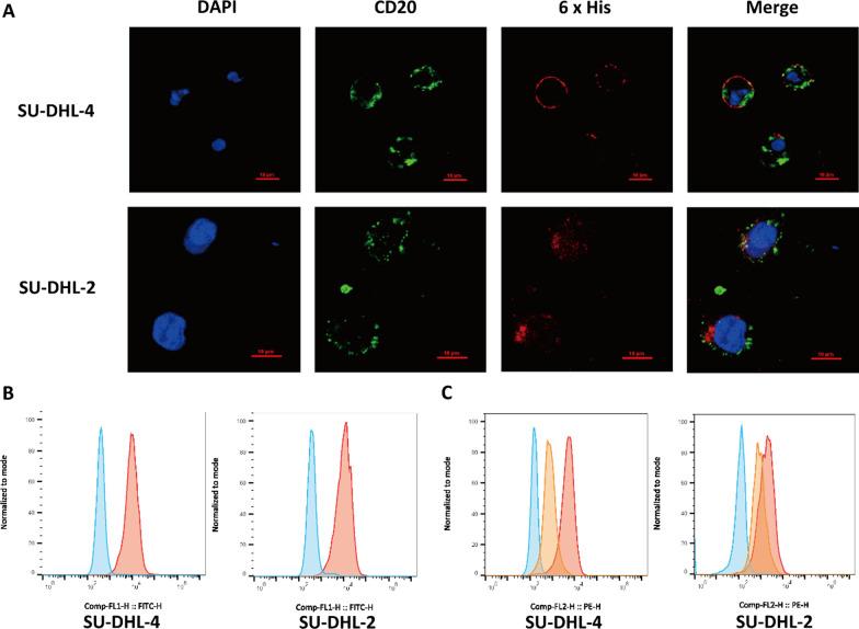 https://cdn.ncbi.nlm.nih.gov/pmc/blobs/1eb1/9476312/190ac1f8d98b/13287_2022_3169_Fig4_HTML.jpg