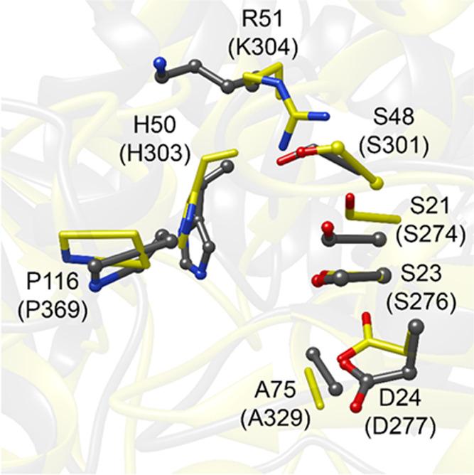 https://cdn.ncbi.nlm.nih.gov/pmc/blobs/1eb2/10484210/b68010a0e1bb/bi2c00705_0006.jpg