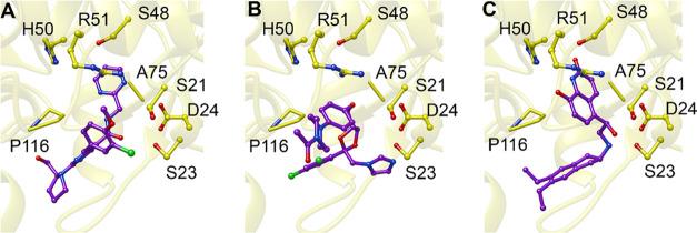 https://cdn.ncbi.nlm.nih.gov/pmc/blobs/1eb2/10484210/ba4979e255f1/bi2c00705_0012.jpg