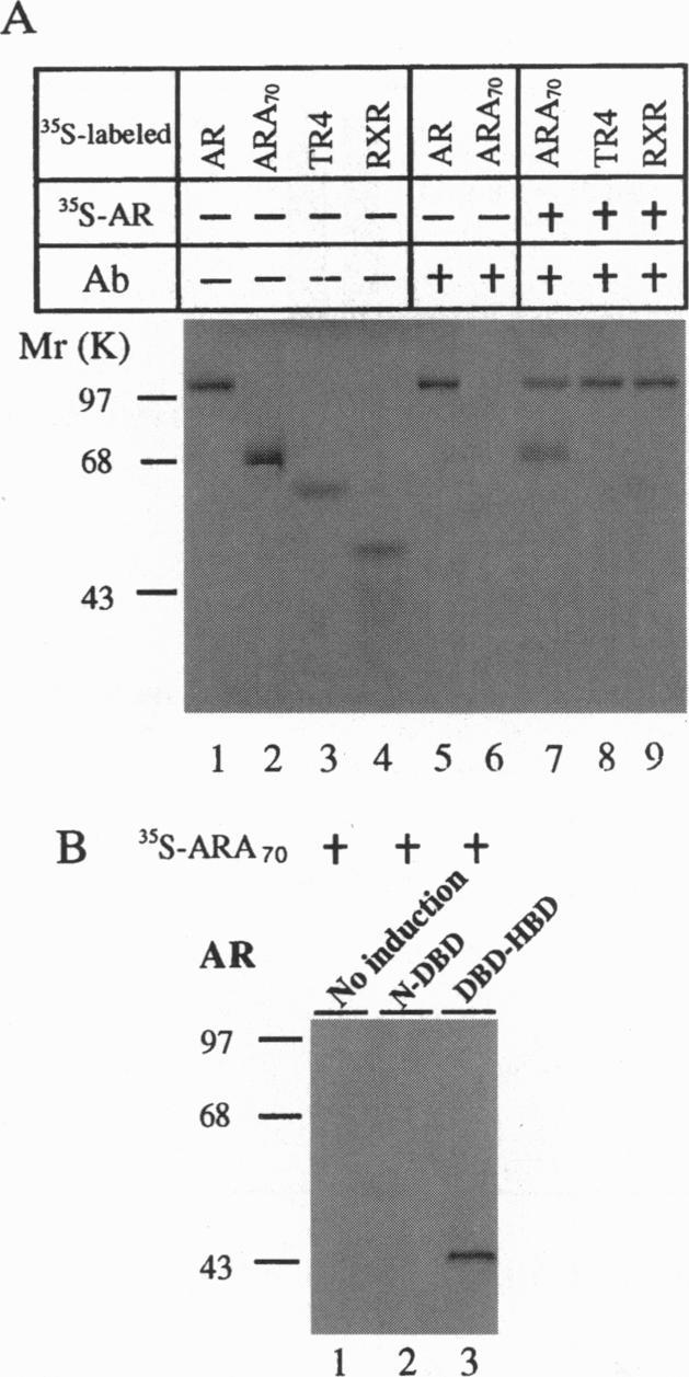 https://cdn.ncbi.nlm.nih.gov/pmc/blobs/1eb2/39278/5a7e2b5655bf/pnas01512-0356-b.jpg