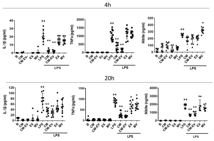 https://cdn.ncbi.nlm.nih.gov/pmc/blobs/1eb2/7866557/1704cc3552ca/ijms-22-01375-g002.jpg