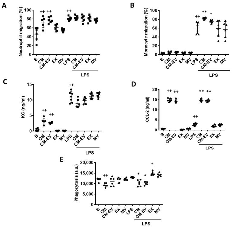 https://cdn.ncbi.nlm.nih.gov/pmc/blobs/1eb2/7866557/4da345e8f5f6/ijms-22-01375-g003.jpg