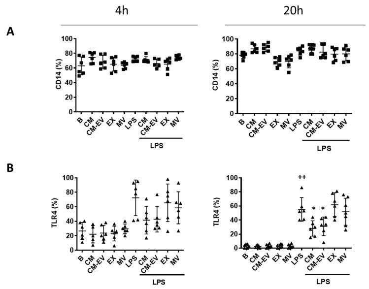https://cdn.ncbi.nlm.nih.gov/pmc/blobs/1eb2/7866557/cb53ea82c36c/ijms-22-01375-g004.jpg