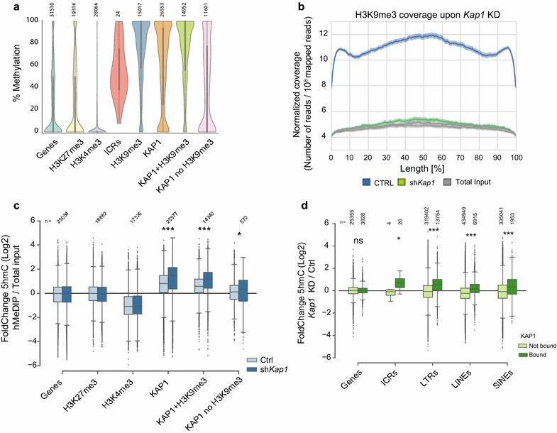 https://cdn.ncbi.nlm.nih.gov/pmc/blobs/1eb4/6389204/ef501c5a3131/13072_2018_177_Fig1_HTML.jpg