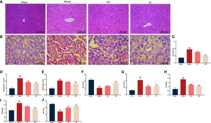 https://cdn.ncbi.nlm.nih.gov/pmc/blobs/1eb4/9082363/00e47b244aca/fendo-13-849544-g007.jpg