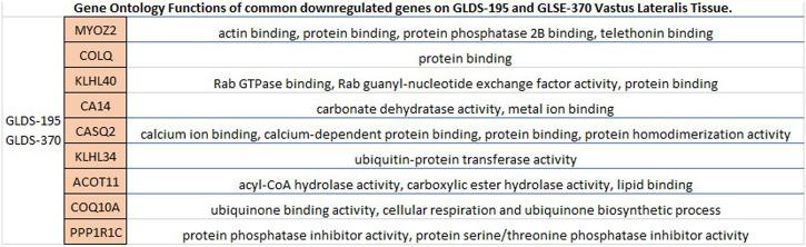 https://cdn.ncbi.nlm.nih.gov/pmc/blobs/1eb6/11053165/e63534a8fece/41526_2024_392_Fig6_HTML.jpg