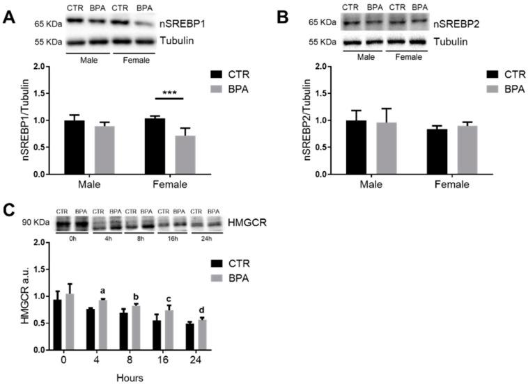 https://cdn.ncbi.nlm.nih.gov/pmc/blobs/1eb8/8227982/6f6a88e8326e/nutrients-13-01970-g004.jpg
