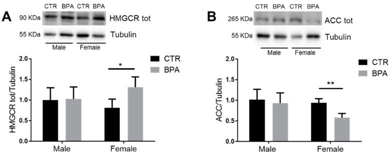 https://cdn.ncbi.nlm.nih.gov/pmc/blobs/1eb8/8227982/c674e2d5fac3/nutrients-13-01970-g003.jpg