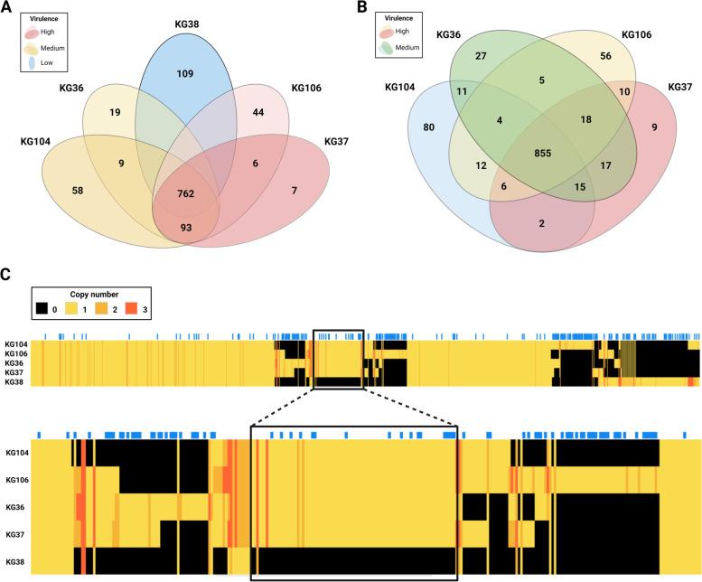 https://cdn.ncbi.nlm.nih.gov/pmc/blobs/1eb9/10466703/fa47cb1b455f/12864_2023_9581_Fig3_HTML.jpg