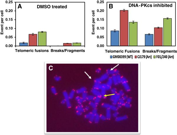 https://cdn.ncbi.nlm.nih.gov/pmc/blobs/1eb9/3614538/2250f93d082b/2041-9414-4-2-3.jpg